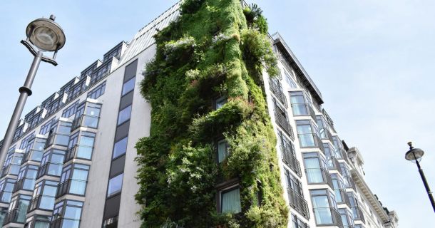 image of a green hotel exterior