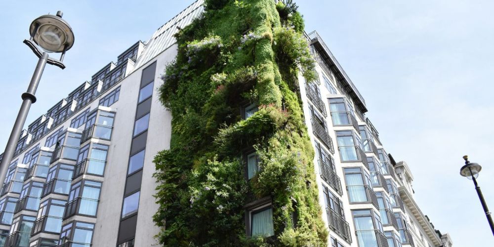 image of a green hotel exterior